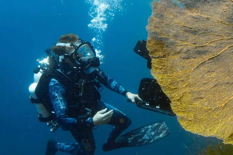 3 rekomendasi wisata di Papua Barat (Sumber - Raja Ampat : Instagram @bertiegregory)