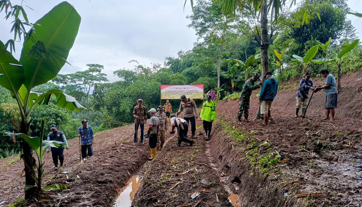 Polsek Bojongpicung Cianjur menanam jagung hibrida. (FOTO: Ist)