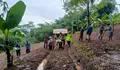 Dukung Ketahanan Pangan, Polsek Bojongpicung Cianjur Tanam Jagung Hibrida di Lahan Dua Hektar