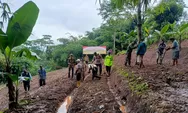 Dukung Ketahanan Pangan, Polsek Bojongpicung Cianjur Tanam Jagung Hibrida di Lahan Dua Hektar