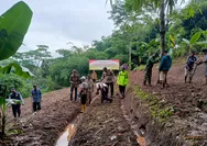 Dukung Ketahanan Pangan, Polsek Bojongpicung Cianjur Tanam Jagung Hibrida di Lahan Dua Hektar