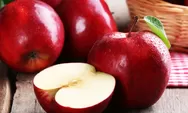 Saat Buka Puasa Mulai Dulu Makan Buah Apel Membantu Menjaga Saluran Pencernaan Siap Menerima Makanan Berat
