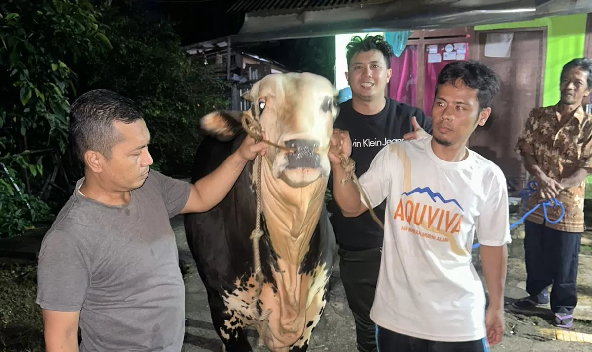 Peternakan MHFarm24 yang berlokasi di wilayah Cianjur. (FOTO: Ist)