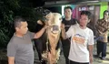 Menengok MHFarm24 Jelang Idul Adha, Sapi Premium dengan Layanan Serba Gratis