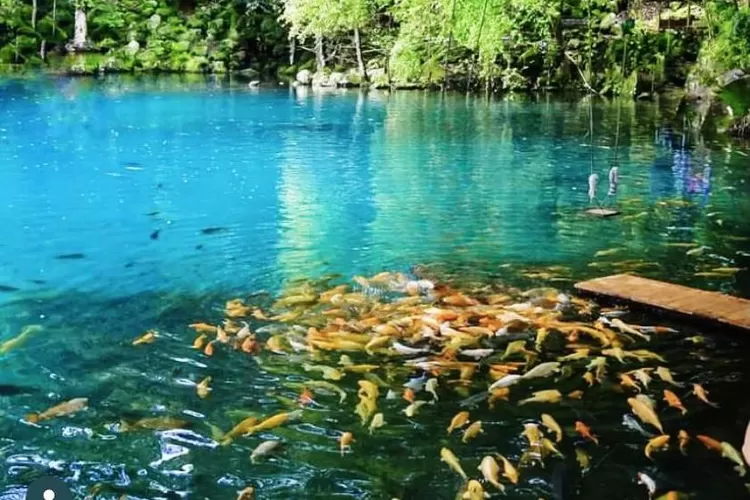 Objek Wisata Telaga Biru Cicerem Kuningan, Wisata Di Tengah Hutan ...