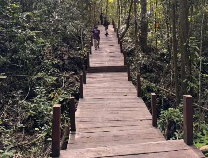 DIBUKA LAGI: Pulau Kakaban, destinasi wisata unggulan di Kabupaten Berau, Kaltim, sudah dibuka.  (EDI UNTUK BERAU POST)