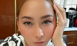 Pedangdut Inul Daratista DItipu Karyawan Sendiri, 1 Mobil dan 3 BPKB Dibawa Kabur Office Boy