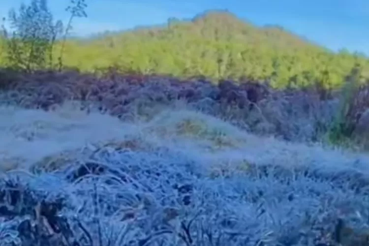 Fenomena salju di kawasan puncak Dieng Wonosobo Jawa Tengah Tiktok@wonosobozone (Elizabeth Widowati )