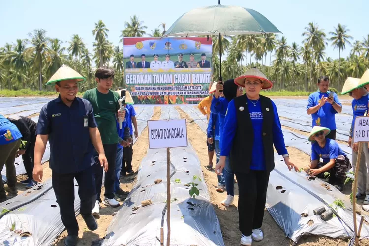 Bupati Donggala Vera Elena Laruni (kanan) saat launching program GERTAM di Kabupaten Donggala, Sabtu (18/10/2025).