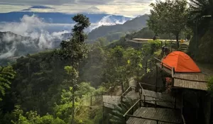Liburan di Tempat Wisata ini Murah Banget! Cuma Rp3 Ribu Kamu Bisa Camping dan Tidur di Rumah Pohon