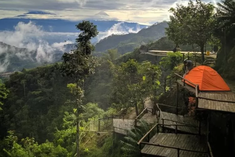 Bukit Ngisis Kulonprogo, salah satu tempat wisata yang menyedian area camping dan rumah pohon.