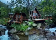 Taman Kopi Guntang, Glamping Pinggir Sungai dengan Suasana Asri dan Udara Segar di Bandung