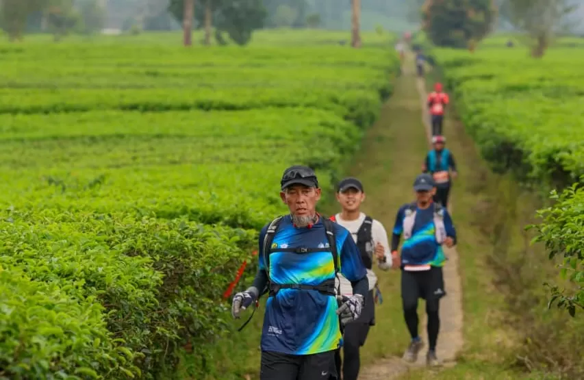 Ribuan Pelari Taklukkan Dieng Caldera Race 2026 di Suhu Dingin 14 Derajat. (kliksolonews/dok Pemprov Jateng)