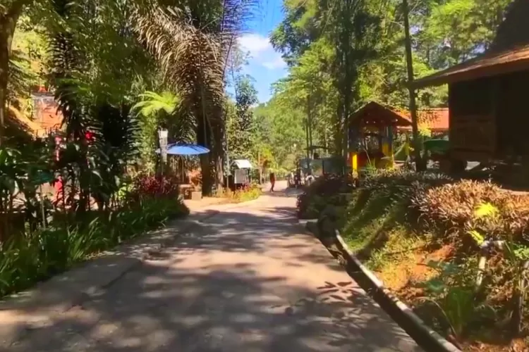 Dago Dream Park Wisata Impian Menyejukkan Di Tengah Hutan Pinus Bandung Kabar Inspirasi Jabar 8448