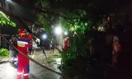 Pohon Tumbang di Ciracas Sudah Dievakuasi Petugas