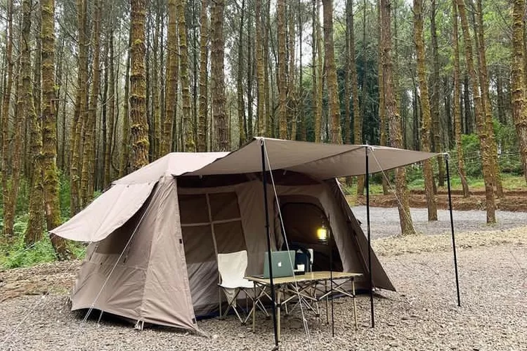 Cozyland Camping Ground - Piknik dan Camping Terbaik di Hutan Pinus Lembang  Bandung - Urban Garut