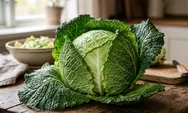 Tak Hanya Jadi Lalapan, Ini Deretan Keunggulan Kol Mentah bagi Kesehatan Tubuh