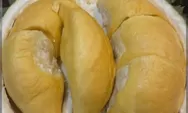 Arti Mimpi Makan Buah Durian Pertanda Rezeki, Jodoh dan Kehidupan Harmonis, Berikut Deretan Tafsirnya   