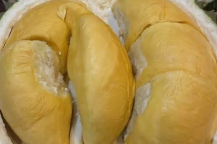 Tafsir mimpi makan durian
