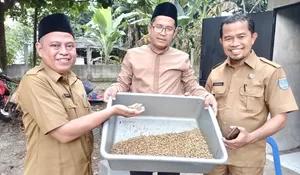 Tokcer! Panen Perdana Maggot di Pondok Petir 78 Kilogram, Mampu Kurangi 6 Kwintal Sampah Organik Dalam 10 Hari