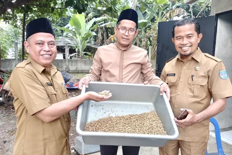 PANENMAGGOT : Lurah Pondok Petir Bahrudin (kanan), Kasi Pemerintahan, H Tarojih (kiri) dan tokoh masyarakat pondok petir Ustad H Saepudin, dalam Panen Maggot perdana di RT3/5 Kelurahan Pondok Petir, Kecamatan Bojongsari, Senin (5/5).  (RISKY DWI LESTARI/RADARDEPOK)