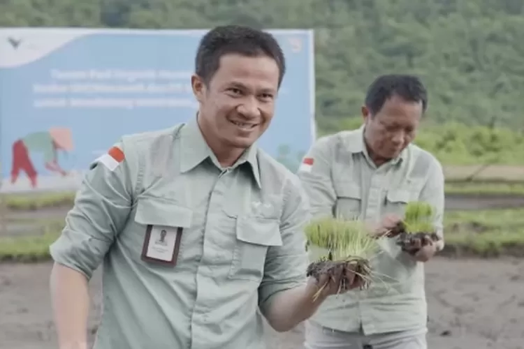 PT Vale IGP Morowali lakukan pembinaan penanaman padi organik di  Kecamatan Bungku Timur , salah satu realisasi program PPM yang berkelanjutan  (IST)