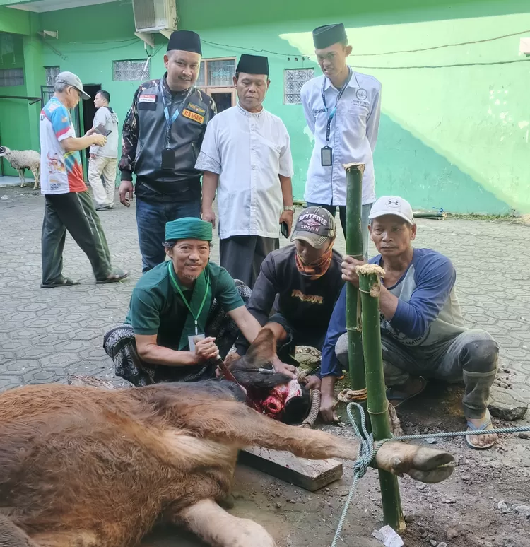 PCNU Cianjur Berkurban 1 Ekor Sapi 7 Ekor Domba