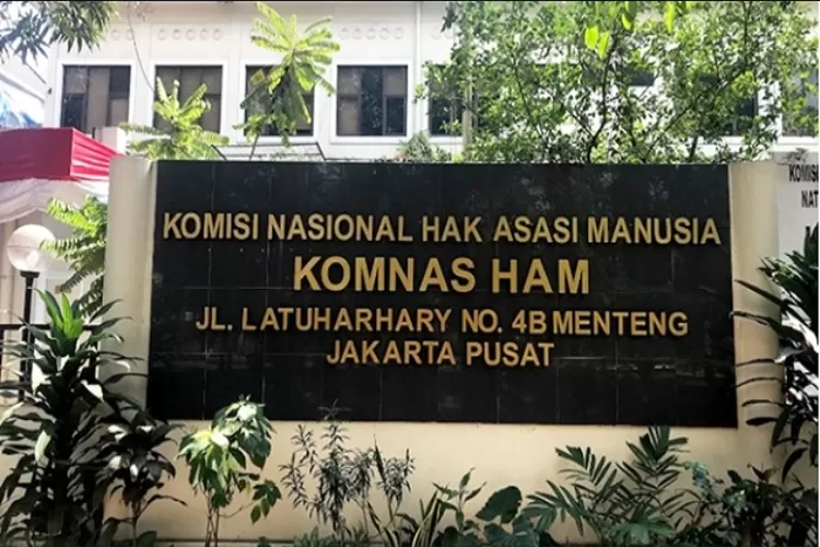 Komnas HAM kumpulkan bukti kematian Affan Kurniawan (Ist)