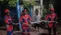 Ular Sanca Tiga Meter Dievakuasi dari Pulau Lancang