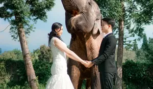 Cari Paket Pernikahan Unik dan Eksklusif? Di Royal Safari Garden Bogor Bisa Prewedding Bareng Satwa, Lho..