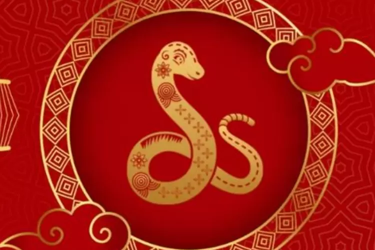 Foto Ilustrasi shio ular/Freepik.com