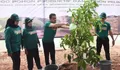 Pemkot Jaktim Kembali Tanam 2.000 Pohon di Kolong Tol Becakayu