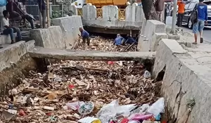 DPUPR Depok Tuntaskan 8 Ton Sampah yang Bikin Aliran Kali Cabang Barat Mampet