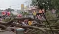 Detik-Detik Pohon Besar Tumbang di  Alun-Alun Pemalang, 3 Jamaah Meninggal Saat Persiapan Shalat Id