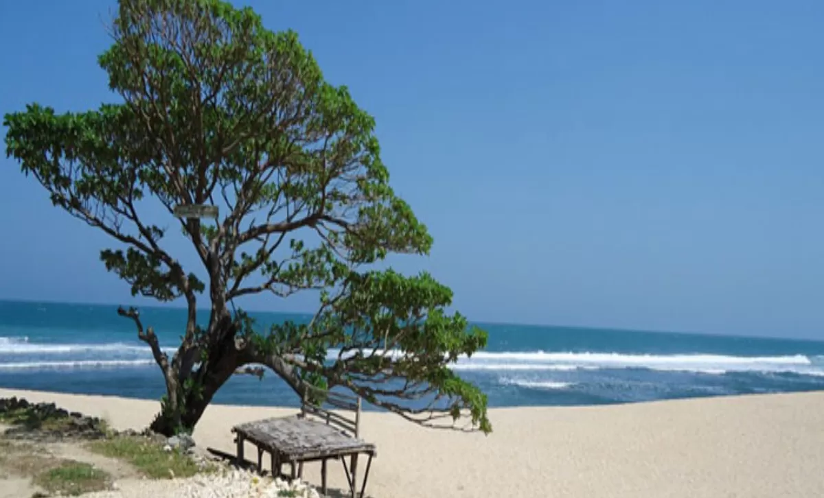 Wisata Sumatera Utara Pantai Natal di Mandailing Natal yang Menyuguhkan Hamparan Pasir Putih, Sunset Indah, dan Suasana Pesisir Samudera Hindia. (triptrus.com)