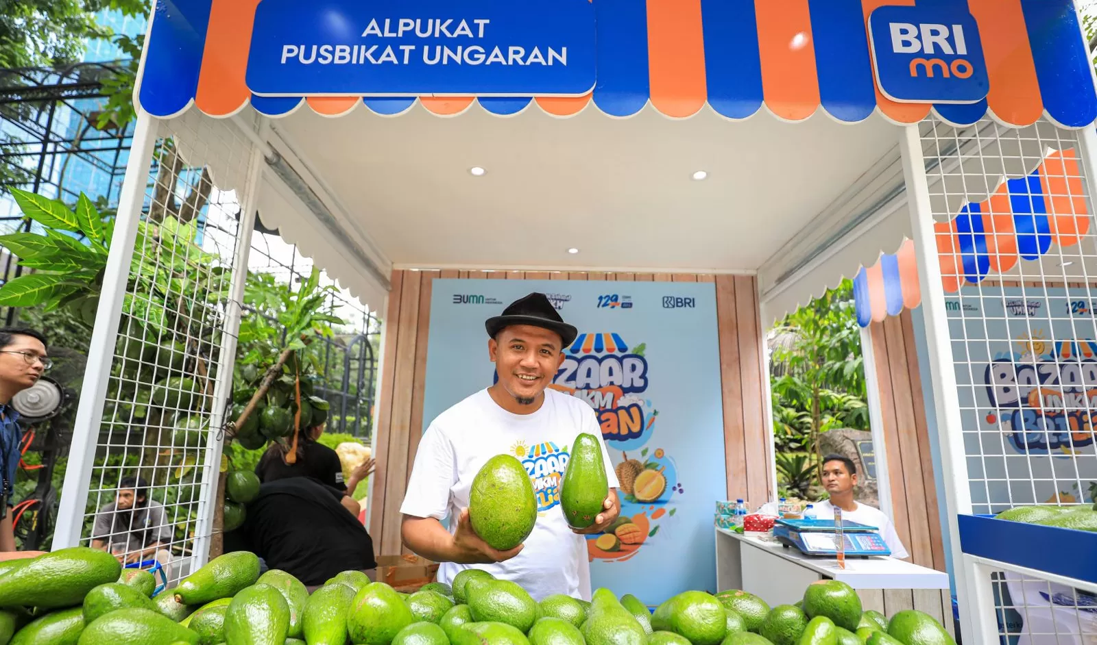 Alpukat Pusbikat Unggaran