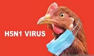 Inilah orang pertama wafat karena jenis flu burung baru, simak penjelasan resmi WHO