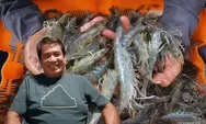 Archipelagic State Beriklim Tropis, Modal Dasar Menjadi Perodusen Udang Terbesar, Peta Jalan Terukur Menjadi Kunci