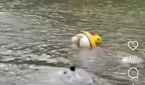 Tragedi di Situ Salawe Garut, Dede Wowon Tewas saat Selamatkan Dua Remaja Tenggelam