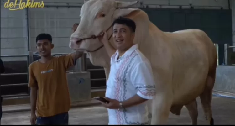 Ilustrasi Raffi Ahmad membeli 4 ekor sapi jumbo untuk kurban Idul Adha di peternakan Irfan Hakim 