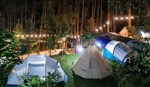 Hotel Bintang 5 Enggak Punya Vibes kayak gini! Tempat Camping dan Glamping ini ada di Tengah Hutan Pinus, Kabutnya bikin Syahdu