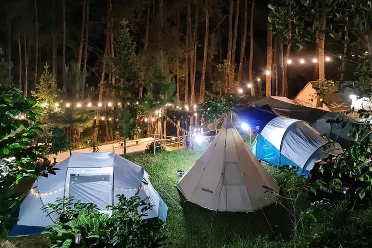 Kampung Rimba Camp, tempat wisata yang menyediakan area camping dan glamping yang keren. (foto : Instagram @ri.ka881)