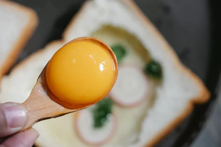 Ilustrasi kuning telur (PEXELS/Klaus Nielsen)