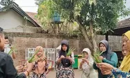 Punya Nilai Gizi dan Ekonomi, Warga Kota Yogya Diajak Budidaya Lidah Buaya