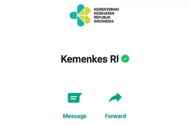 Kemenkes Buka Lowongan Kerja PPIH Arab Saudi Bidang Kesehatan Dan TKH ...