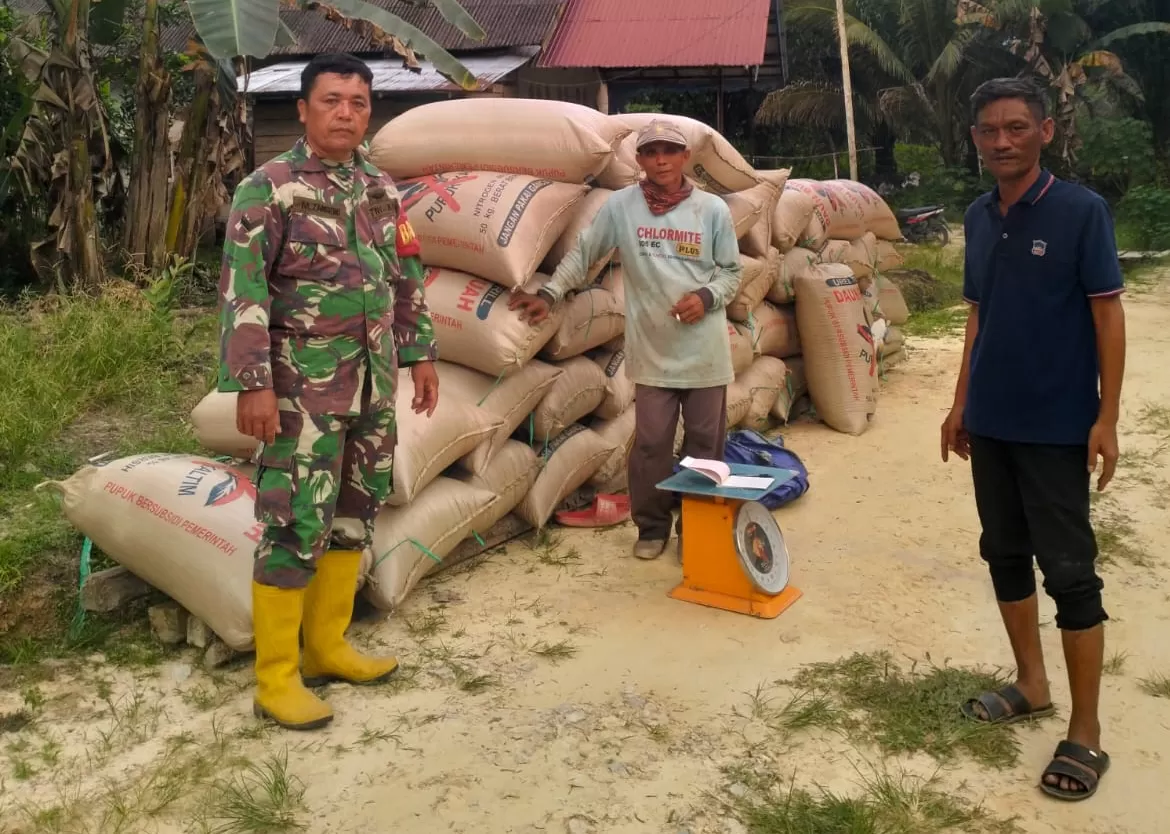 DISERAP: Petani tampak antusias menimbang GKP untuk dijual ke Bulog, dan tampak tumpukan berkarung-karung GKP yang diserap BUMN itu.  (ISTIMEWA)