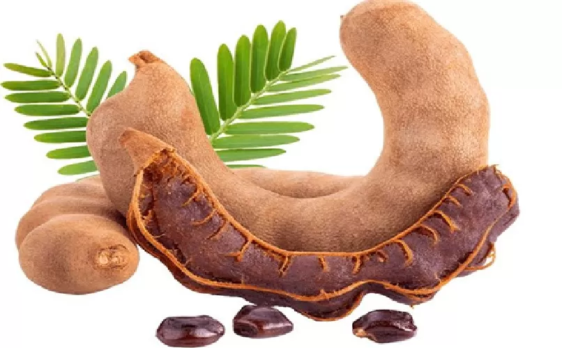 Ilustrasi asam jawa.