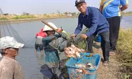 Sulap Sawah Jadi Kolam Ikan, Kampung Nila Turunrejo Dijadikan Percontohan