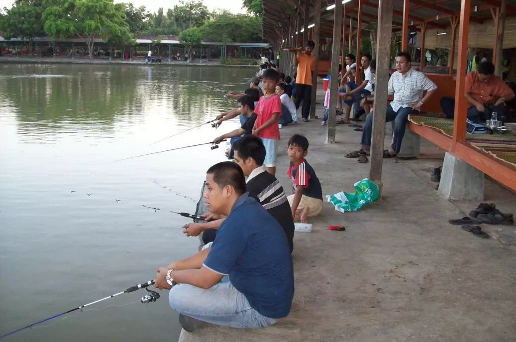 Pilihan Kolam Pemancingan Di Karawang, Spot Wisata Mancing Paling Enjoy ...