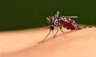 Cegah Penularan Malaria, Dinkes Tangerang Ajak Aksi Bersama Masyarakat